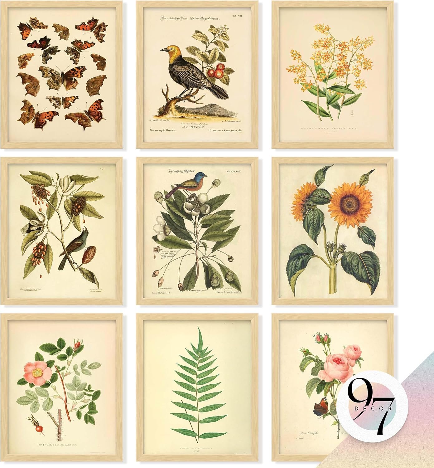 97 Decor Vintage Botanical Wall Art Decor – Plant Posters For Room Aesthetic, Vintage Botanical Prints Nature Wall Decor, Floral Pictures Butterfly Bird Art For Home Bedroom Decoration (8×10 Unframed)